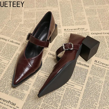 Designer Vintage Pointed Toe Women Mary Jane Shoes Fashion Shallow Buckle Shoes Spring Ladies Elegant Dress Thick Heel Shoes