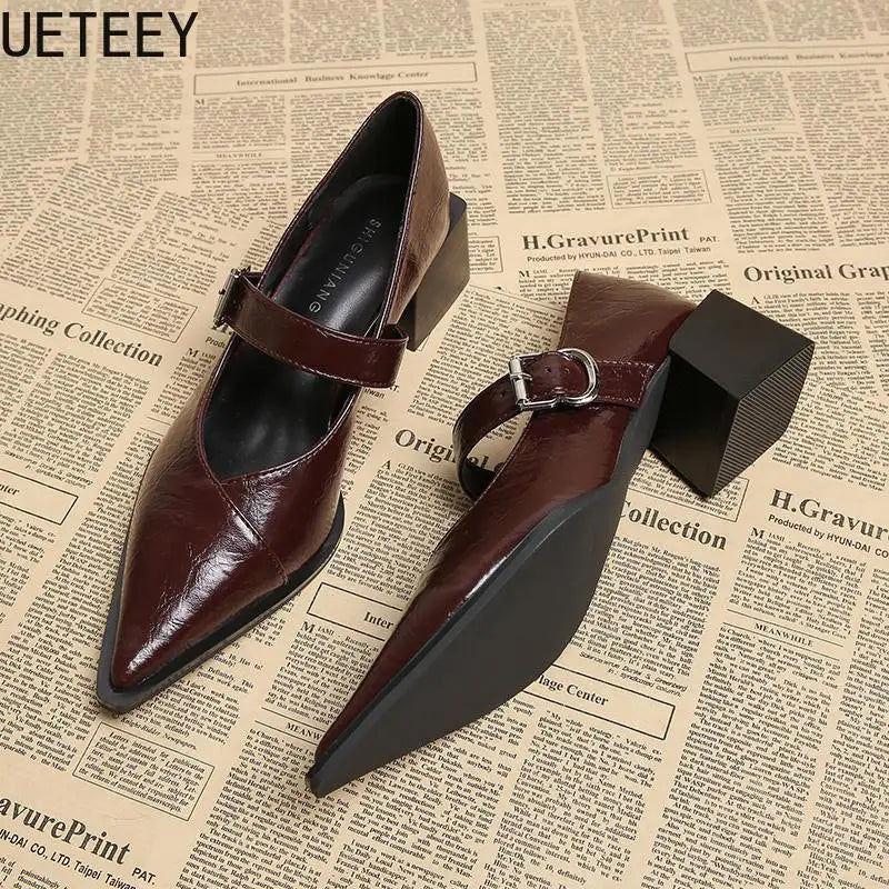 Designer Vintage Pointed Toe Women Mary Jane Shoes Fashion Shallow Buckle Shoes Spring Ladies Elegant Dress Thick Heel Shoes
